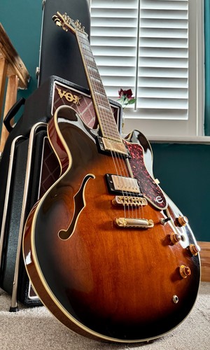 1989 epiphone sheraton - 1989,