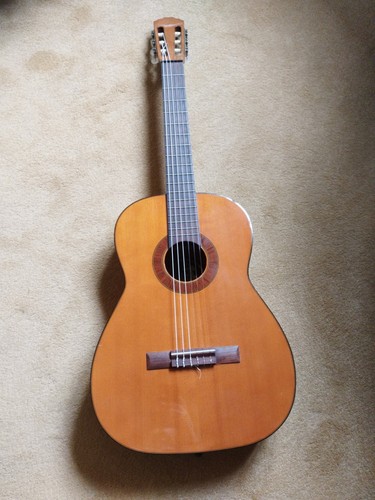 Hofner anno 1976 model 484 - 1976,