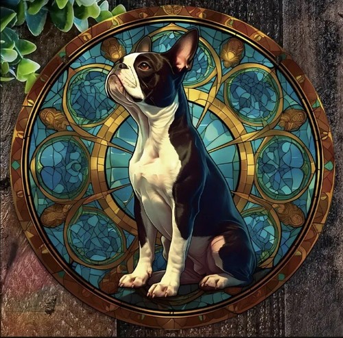 Boston terrier dog - boston, lover