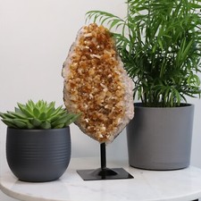 Citrine Geode Cluster Crystal