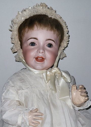 Superb life size huge - 24, inch