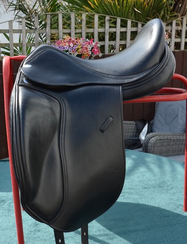 Harry dabbs jaguar dressage - harry,
