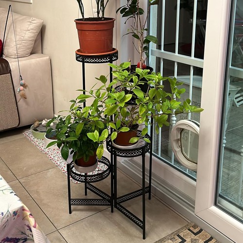 Wrought iron plant - wrought,
