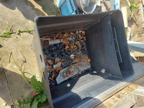 Fish pond filter - pond,