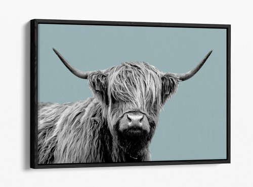 Highland cow duck egg blue - duck,