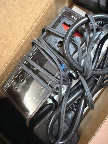 Thermostat for reptiles - for,