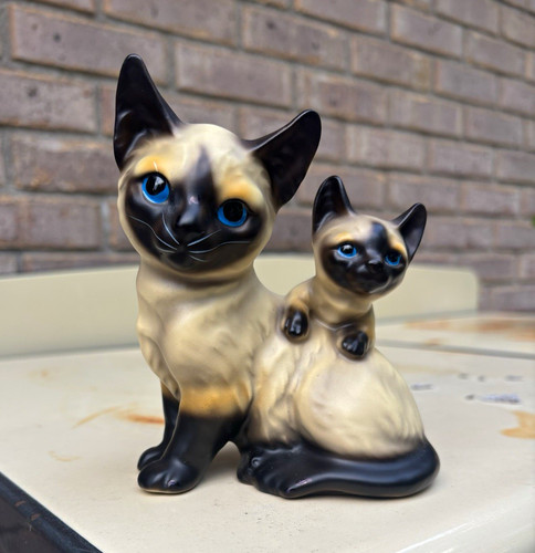 Vintage siamese cat adult - cat,