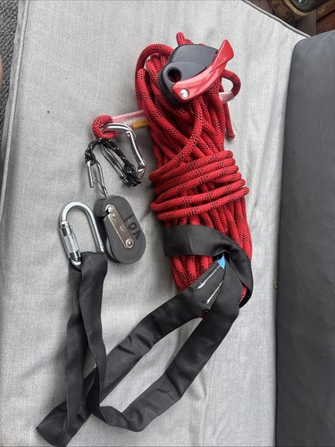 Professional arborist climbing - professional,
