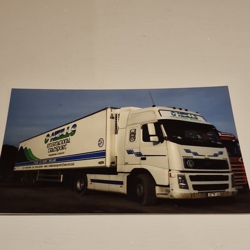 Neills international - o'neills,