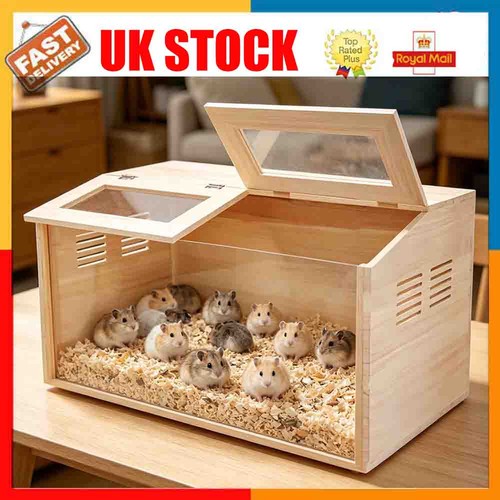 Glass chewproof hamster - glass,