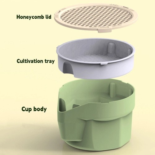 Cat grass box - grass, planter