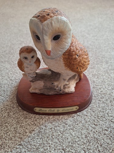 Barn owls leonardo - owls,