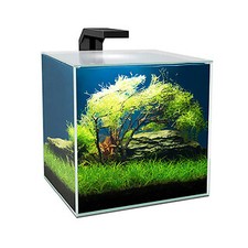 Ciano Cube 15 litre Aquarium Aquarium Nano Desk Fish Tank