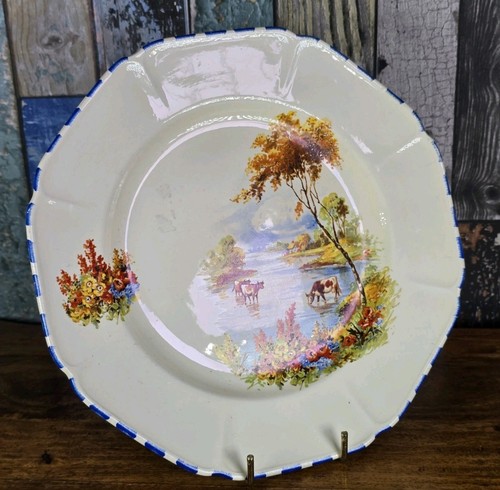 Vintage coronet ware plate - coronet,