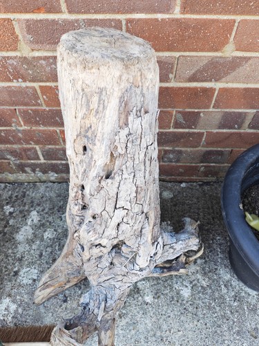 Heavy hard bogwood for - heavy,