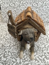 Leonardo Collection In The Dog House