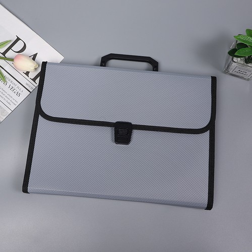 Expanding file pocket - 13,