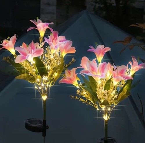 Pack pink solar lily - 2,