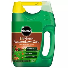 EverGreen Autumn Lawn Grass
