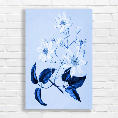 Elegant white flower blue - white,