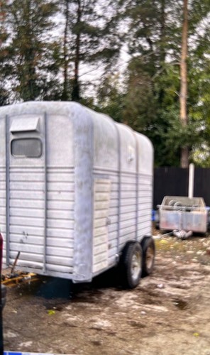 Rice horse box trailer - trailer, for
