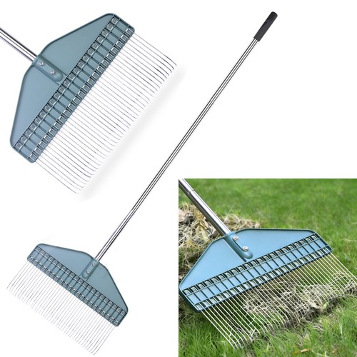 Adjustable thatch rake - thatch,