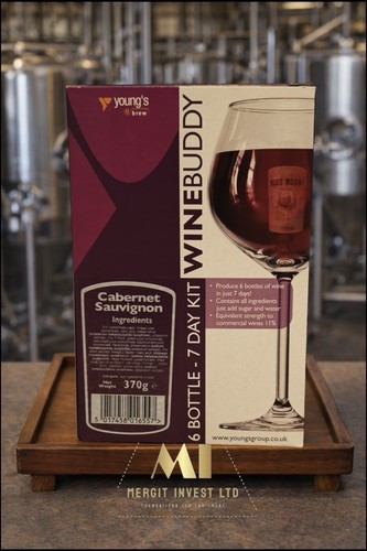 Youngs brew wine buddy - youngs,