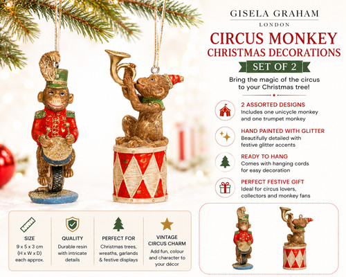 Gisela graham circus monkey - gisela,