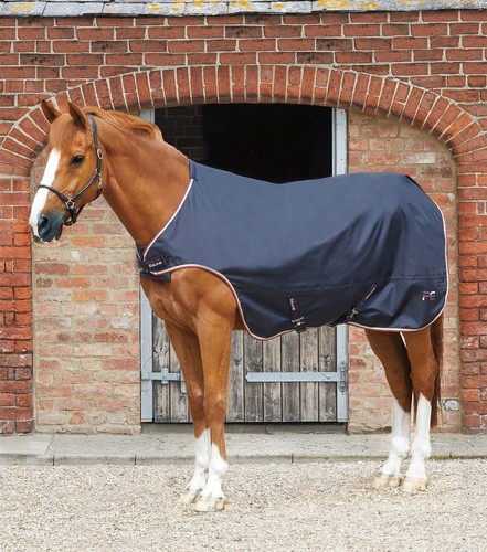 Premier equine horse - equine, walker