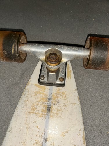 Rare globe pintail - globe,