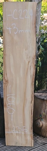 Live edge spalted chestnut - live,