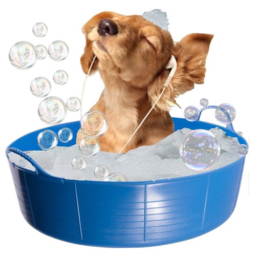 Blue dog bath - bath,, paddling