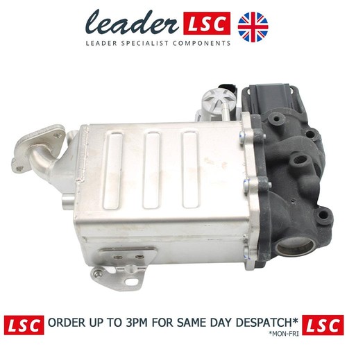 Egr valve and cooler - and, vw