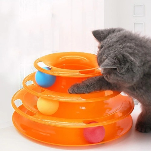 Interactive indoor kitten cat - kitten,