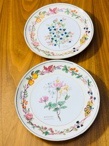 Aynsley fruits and flowers - fruits, of