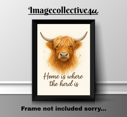 Highland cow home - home,