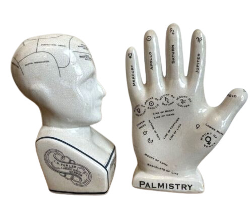Set phrenology head - of,