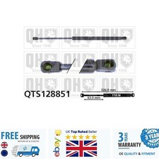 Cargo Area Gas Spring For Saab