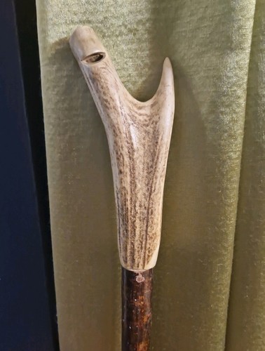 Vintage stag horn walking - horn,