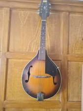 Mandolin 8 String