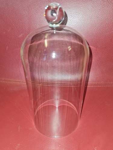 Glass display cover cloche