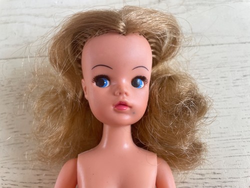 Pedigree sindy doll basic - pedigree,