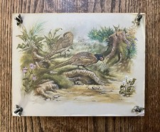 Vintage Wooden Flower Press