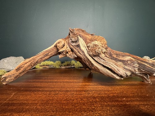 Manzanita driftwood - manzanita,