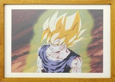 Dragon Ball Z SS2 Reproduction