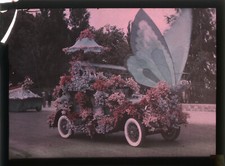 AUTOCHROME (9x12) battles of flowers, party in Nice, chariot with butterfly