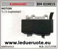 211710708 Electronic Coil