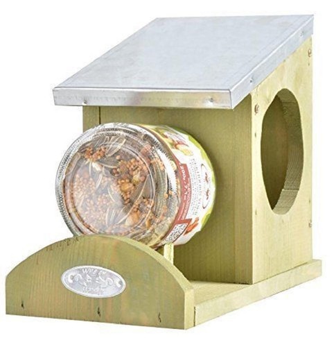 Squirrel peanut butter - squirrel,