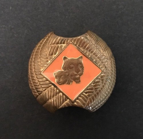 Boy cub scouts america - america, tiger