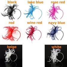 Clip Wedding Feather